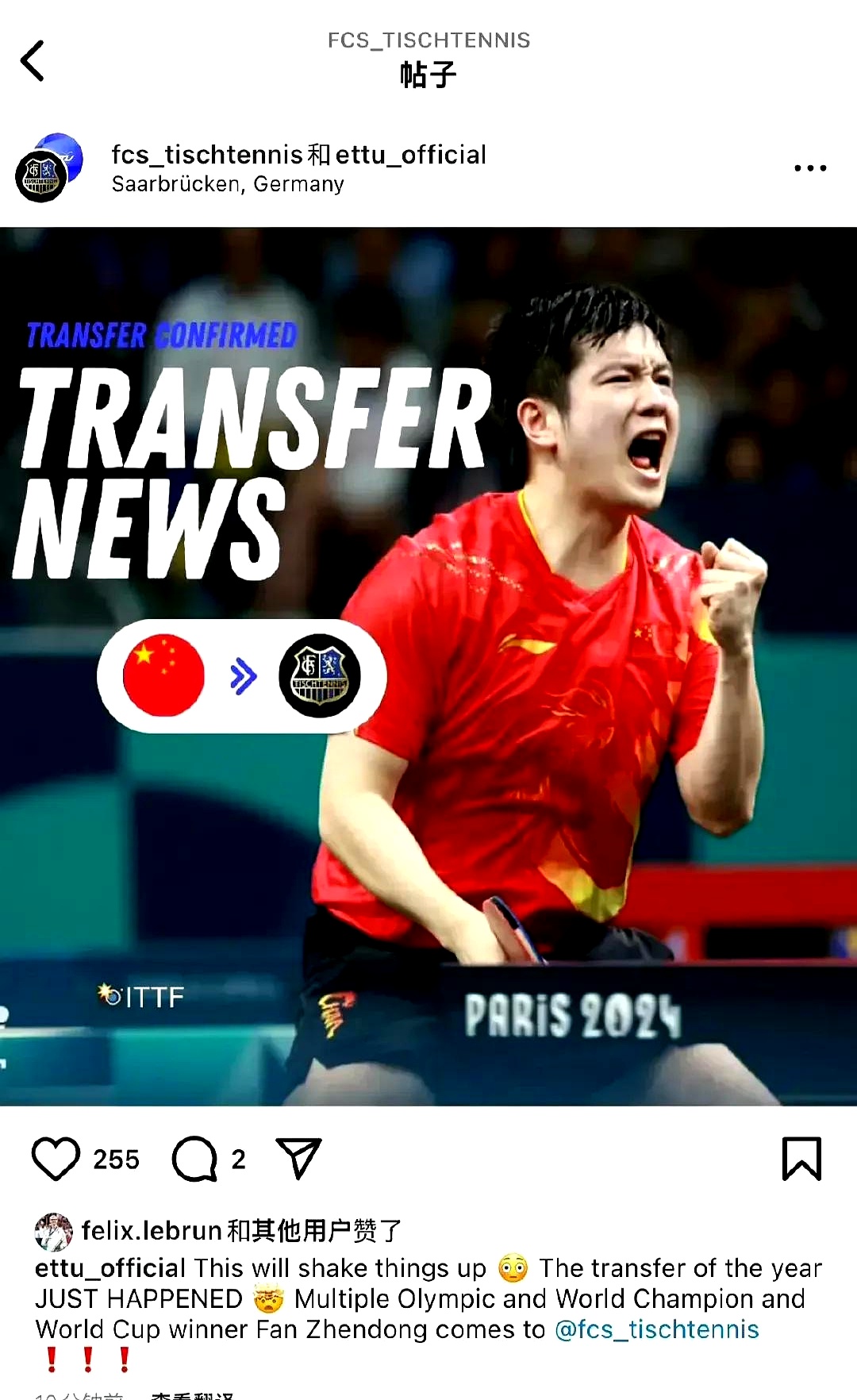 中国乒乓球队横扫德国乒乓球队，樊振东关键制胜的简单介绍