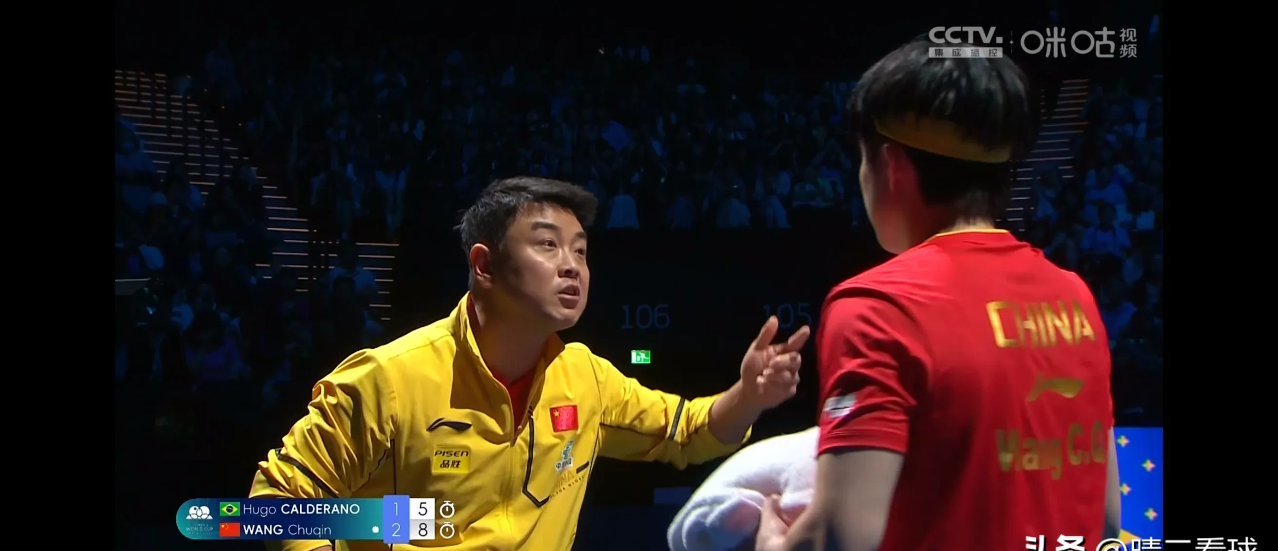 德国乒乓球队横扫波兰乒乓球队，王皓关键制胜