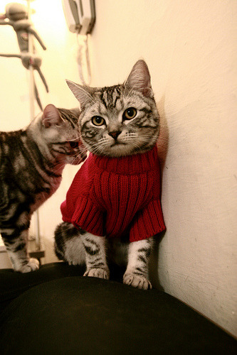 当国王登基之日，锡安化身利刃碾碎福建，一场定义比赛走向的表演