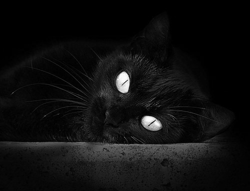 鏖战绿茵场与统治乒乓球台,当葡萄牙遇上韩国,当梁靖崑掌握全场