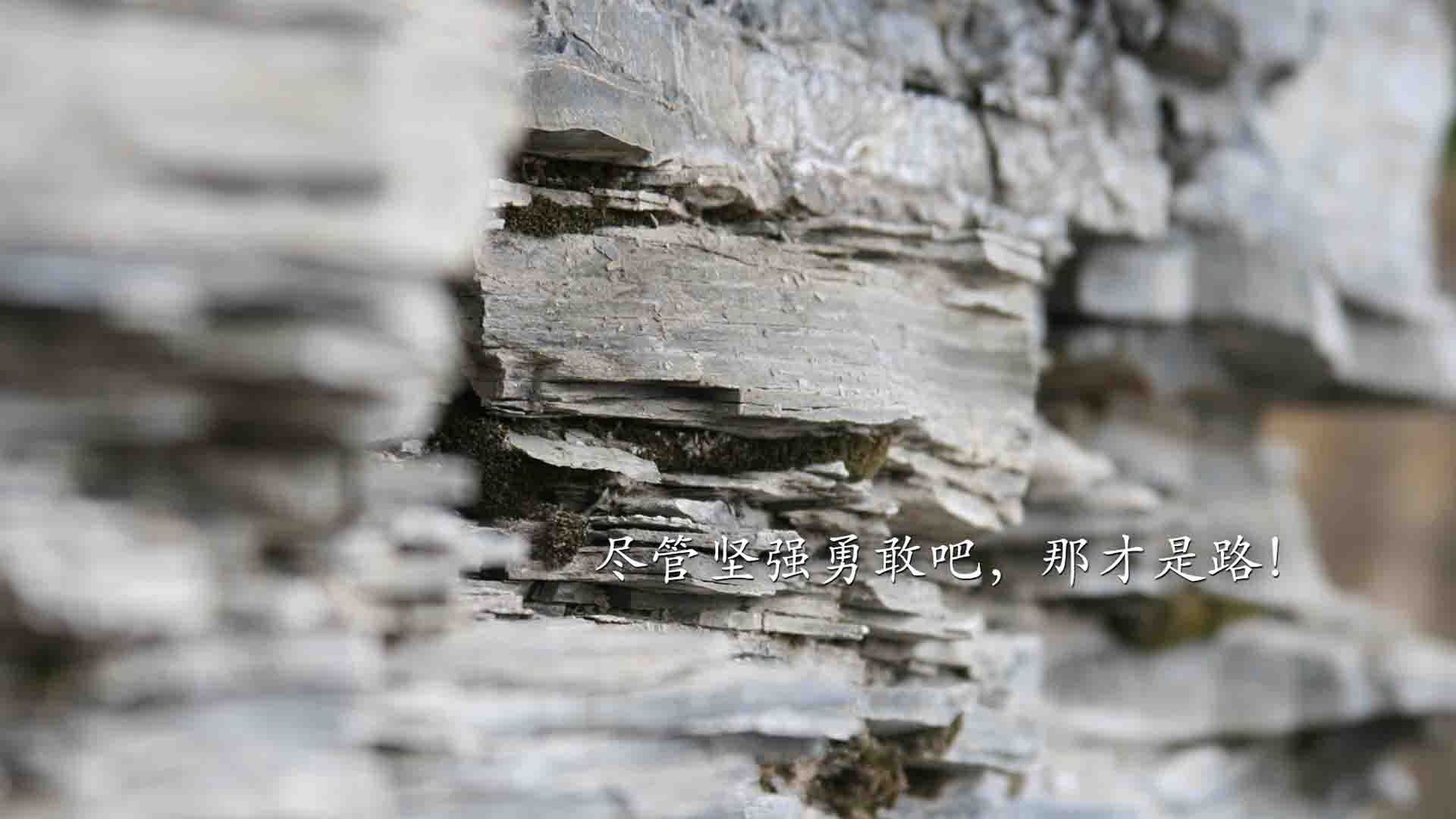 当年终总决赛隔网相对澳网，纳达尔决胜盘抢七扛起全队