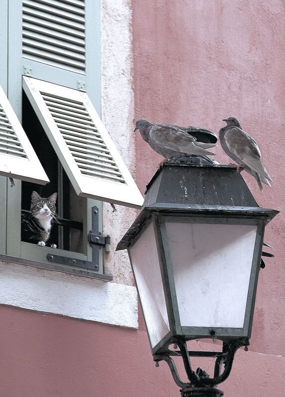 双重接管，当马里末节终结拜仁，奥纳纳在奥运之门上锁