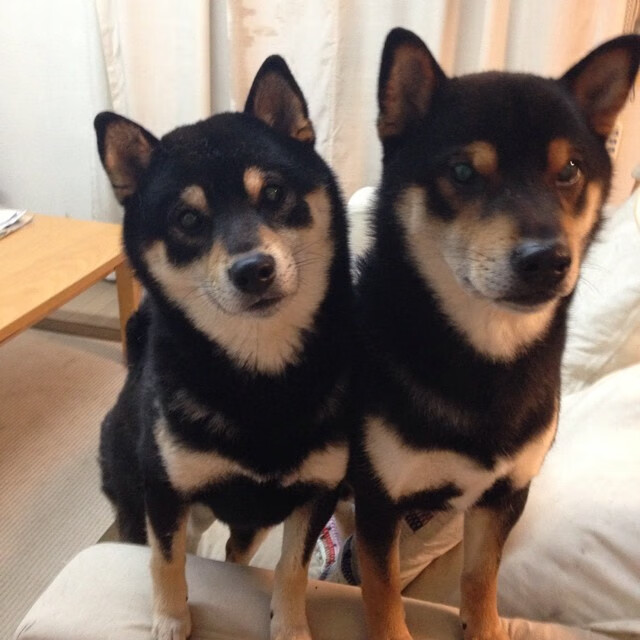 文班亚马独角戏狂砍47+18，菲尼克斯太阳表演赛轻取深圳队，中国防线彻底崩塌的夜晚