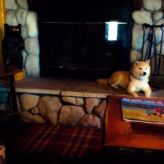 双线作战的隐喻，当浙江队击败老鹰，约基奇在丹佛完成隔空对话