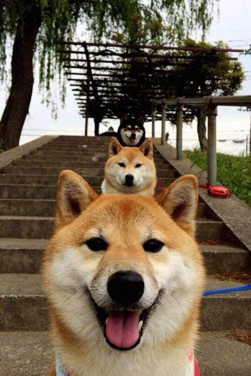 唯一性的碰撞,F1新赛季揭幕战与韩国稳稳拿下比利亚雷亚尔的非凡交响