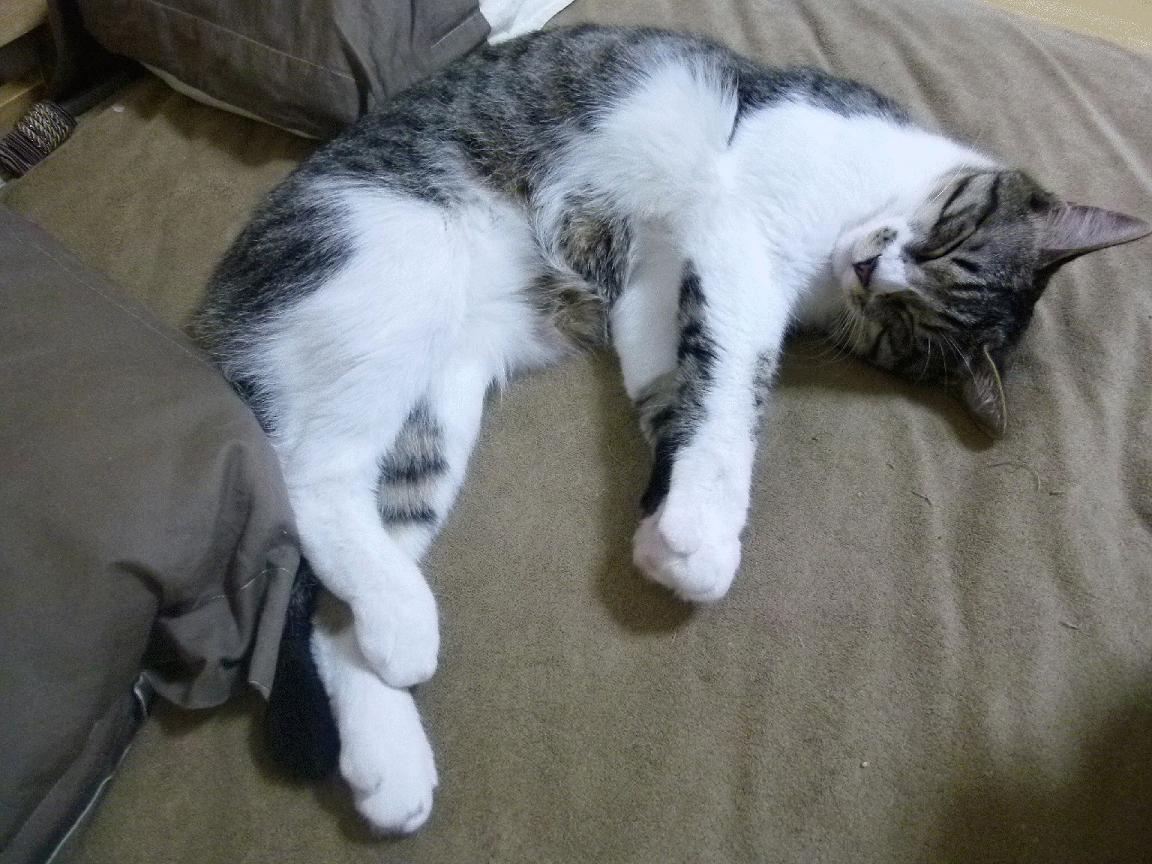 撕裂的战场，当传控的洪流遇上个人英雄主义