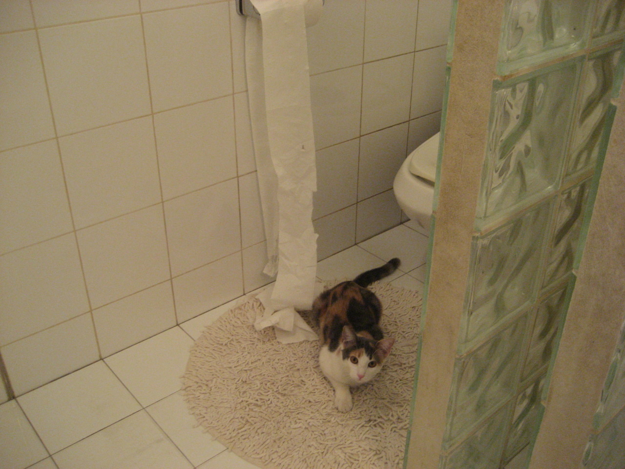 冰与火之歌，英格拉姆生涯之夜，点燃深浙对决的硝烟战场