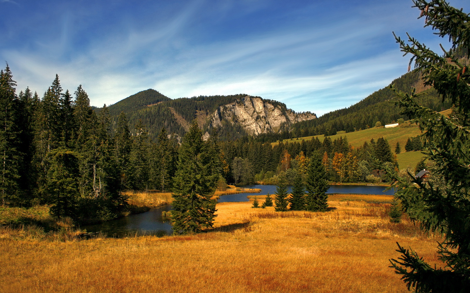 西决生死战之夜，数字1的审判之夜，恩比德的疆场与囚笼