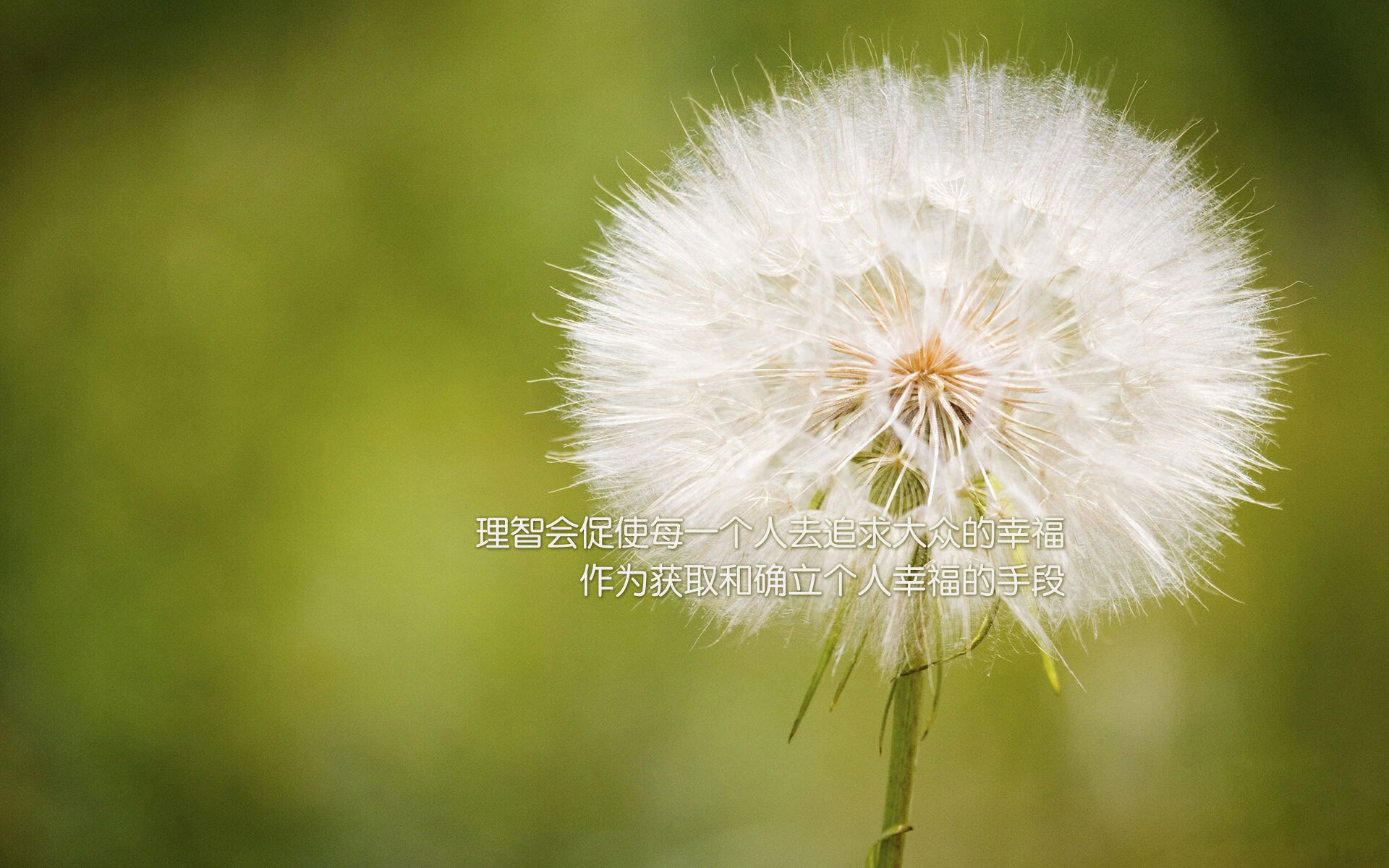 跨越联赛的唯一对决，76人意外胜吉林，字母哥成救世主