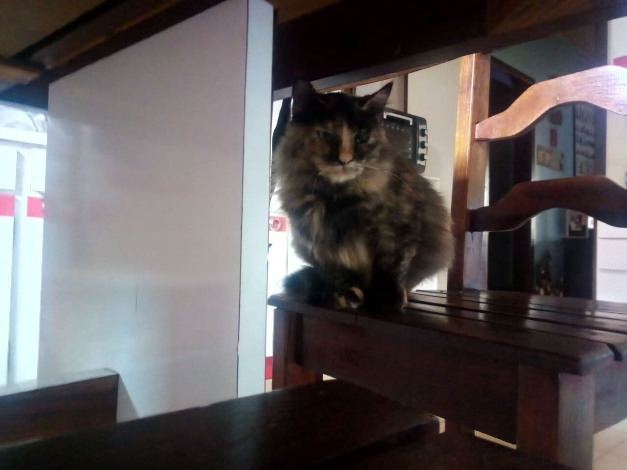 跨越八千公里的阻击，当辽宁稳稳拿下的背后，站着NBA的关键先生