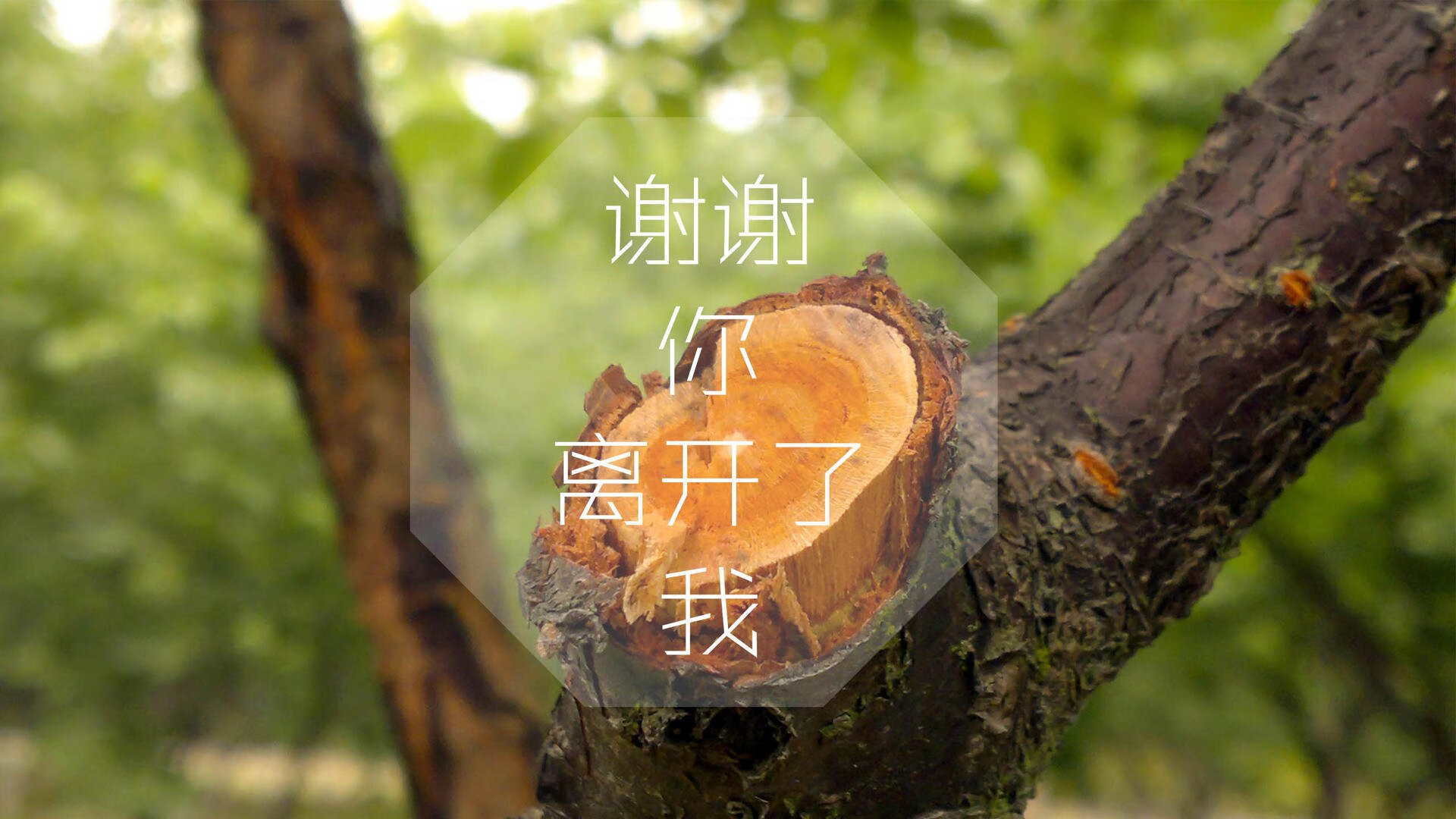 冰与火之歌，2026世界杯F组，冰岛击碎比利时黄金一代的最后防线，迪亚斯一人改写足球版图