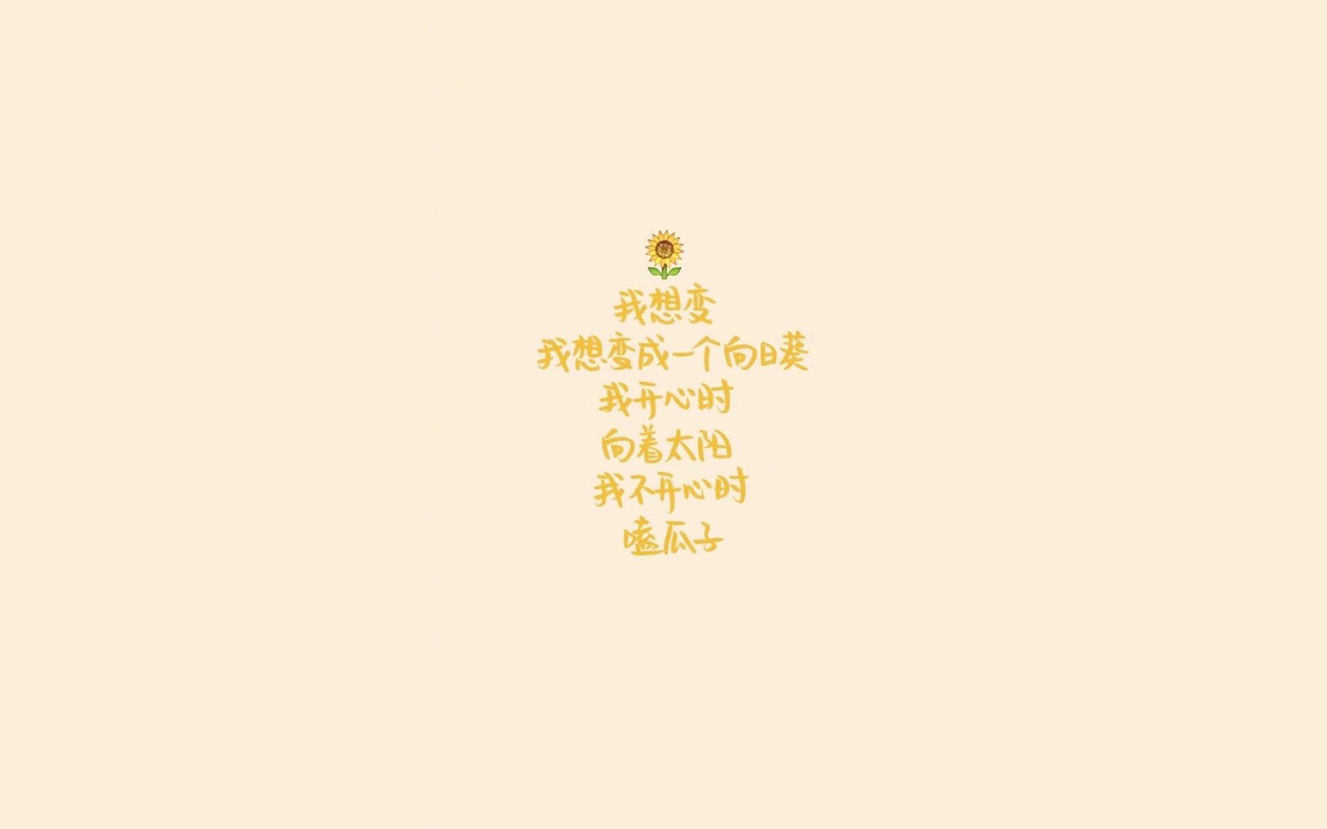 沙漠铁壁，2026世界杯H组，伊朗以钢铁防线力克美国，哈兰德一剑封喉