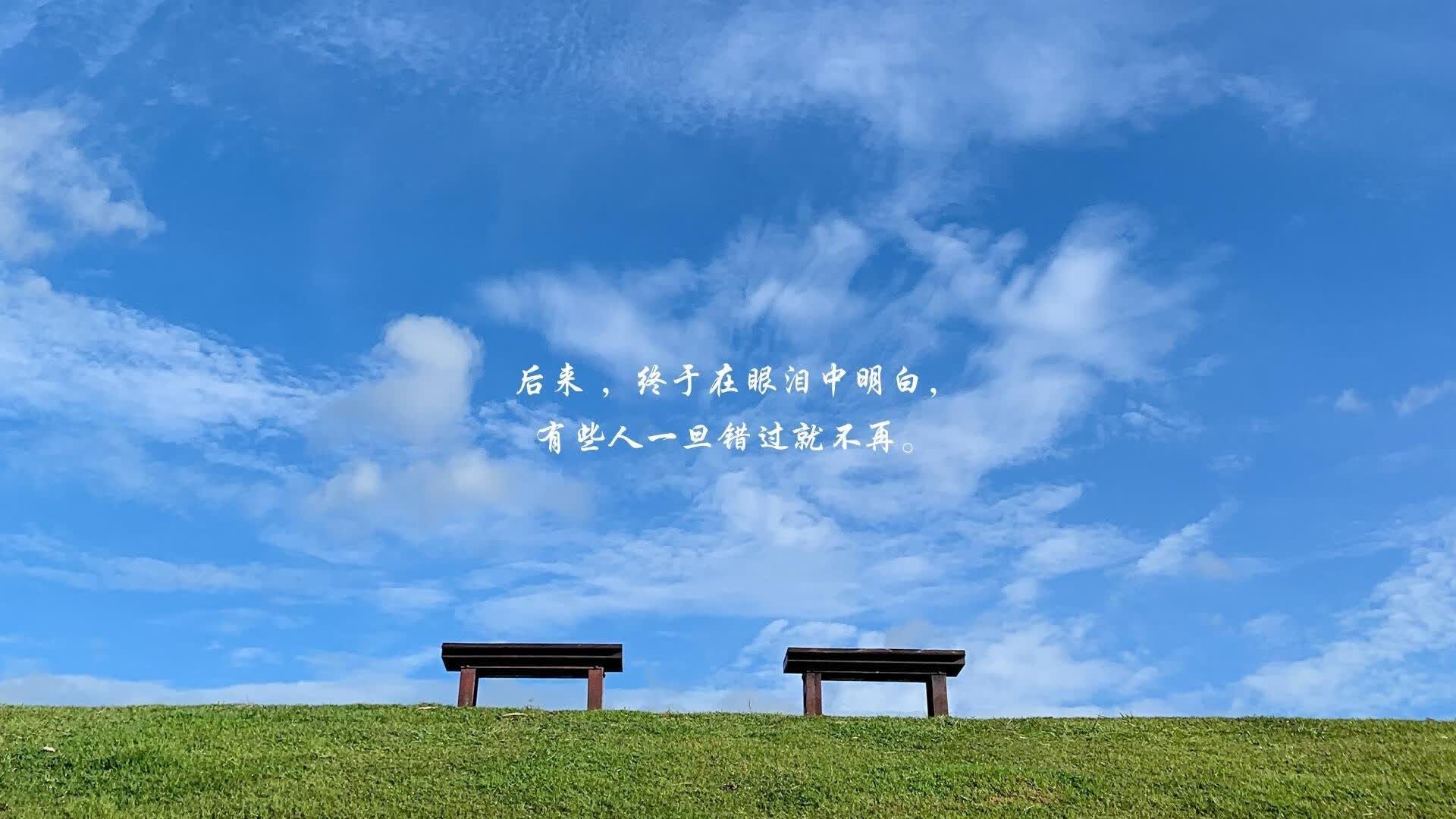 蓝黄风暴下的独行者，2026世界杯A组，罗马尼亚大胜哥伦比亚，穆西亚拉闪耀全场