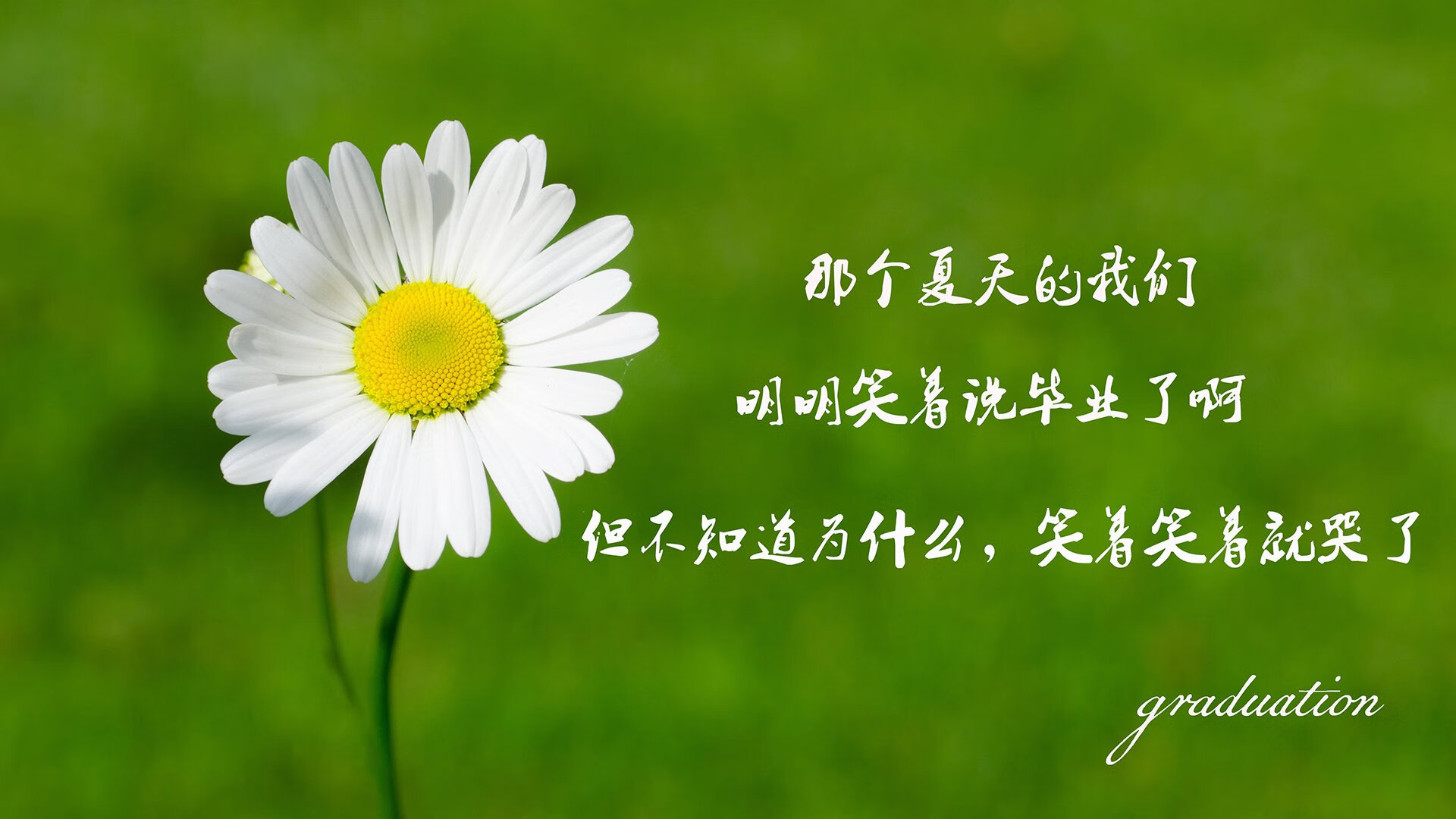 逆转奇迹,唯一绝响,2026世界杯预选赛强强对话,泰国3-2匈牙利,穆西亚拉战术核爆改写历史